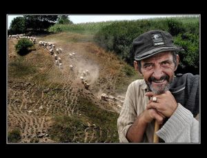 A pásztor