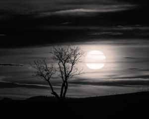 Az utolsó percek